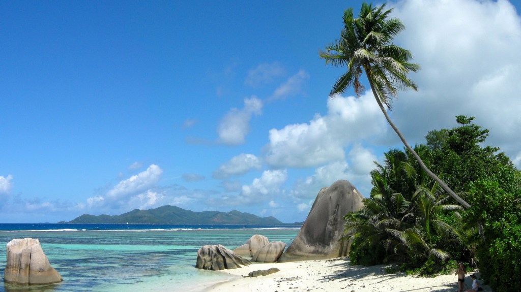 Why Share a Marketing Plan with the World?